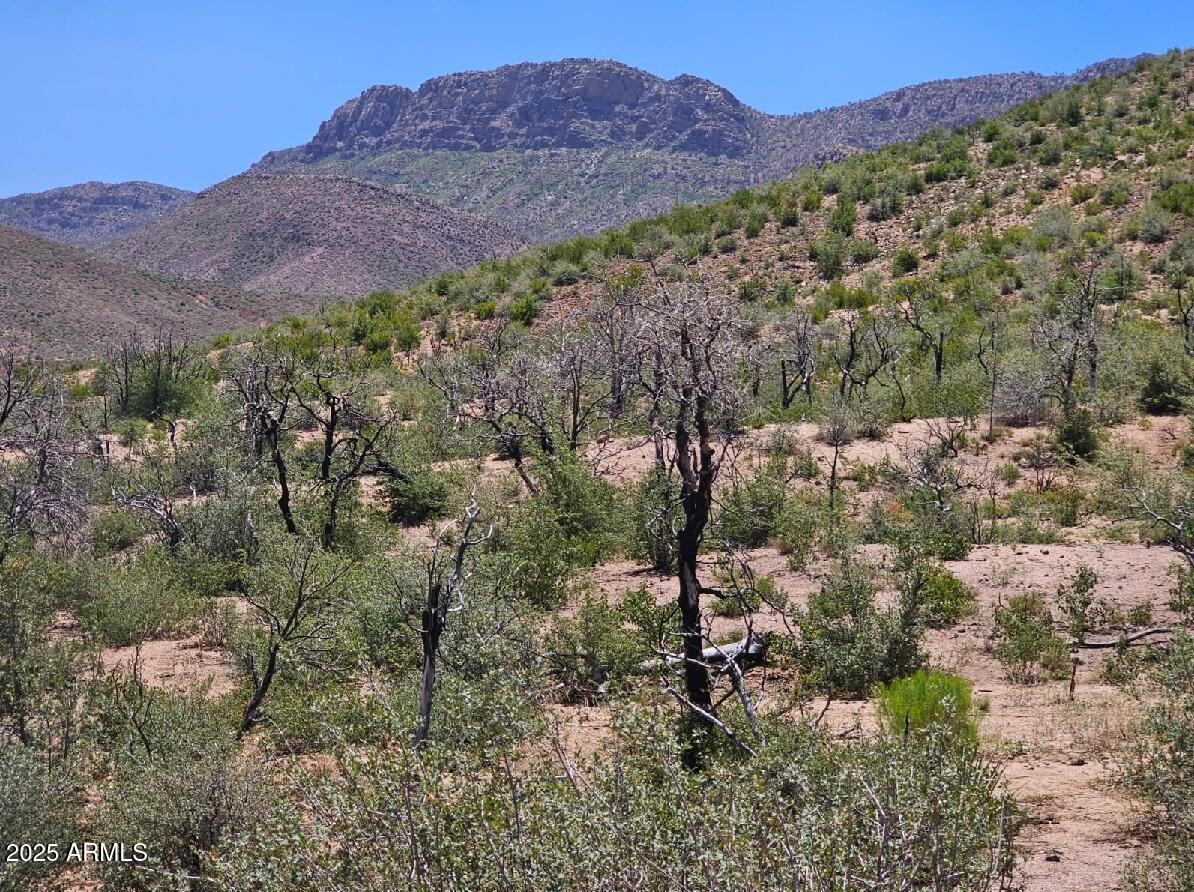 TBD S El Capitan Drive -