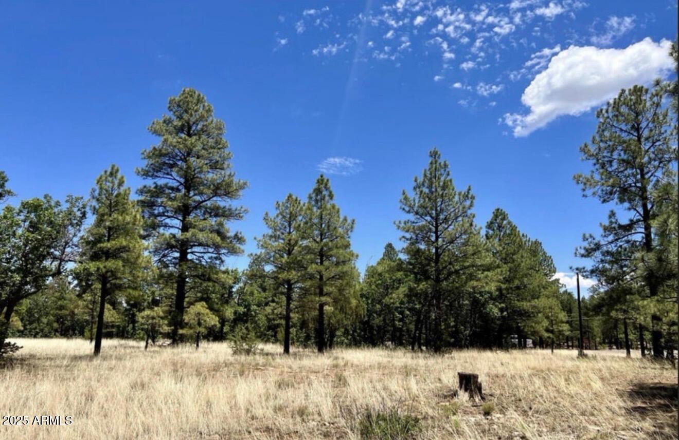 4453 NAVAJO Drive 358