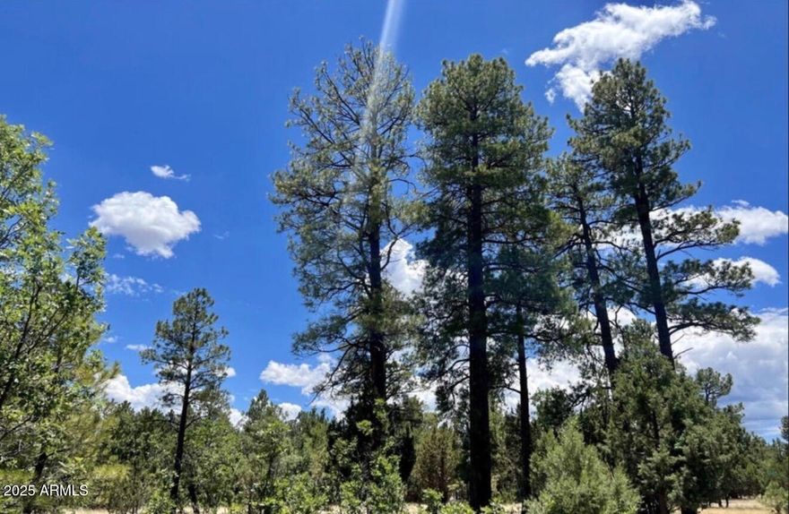 Welcome to the pines to build your stunning cabin...this is the 1 acre lot you have been searching for. Located on a corner that dead ends. With an area that has already started the clearing to build. Plus did I mention the expansive amount of the variety of vegetation with: Ponderosa Pine, Pine Pinion, Oak, Alligator Juniper, plus even beautiful blooming cactus. This neighborhood is set up with full time water with a transfer station and maintained roads with winter access for a cool getaway home or full time home. Come see this truly one of a kind mountain property for your new home.