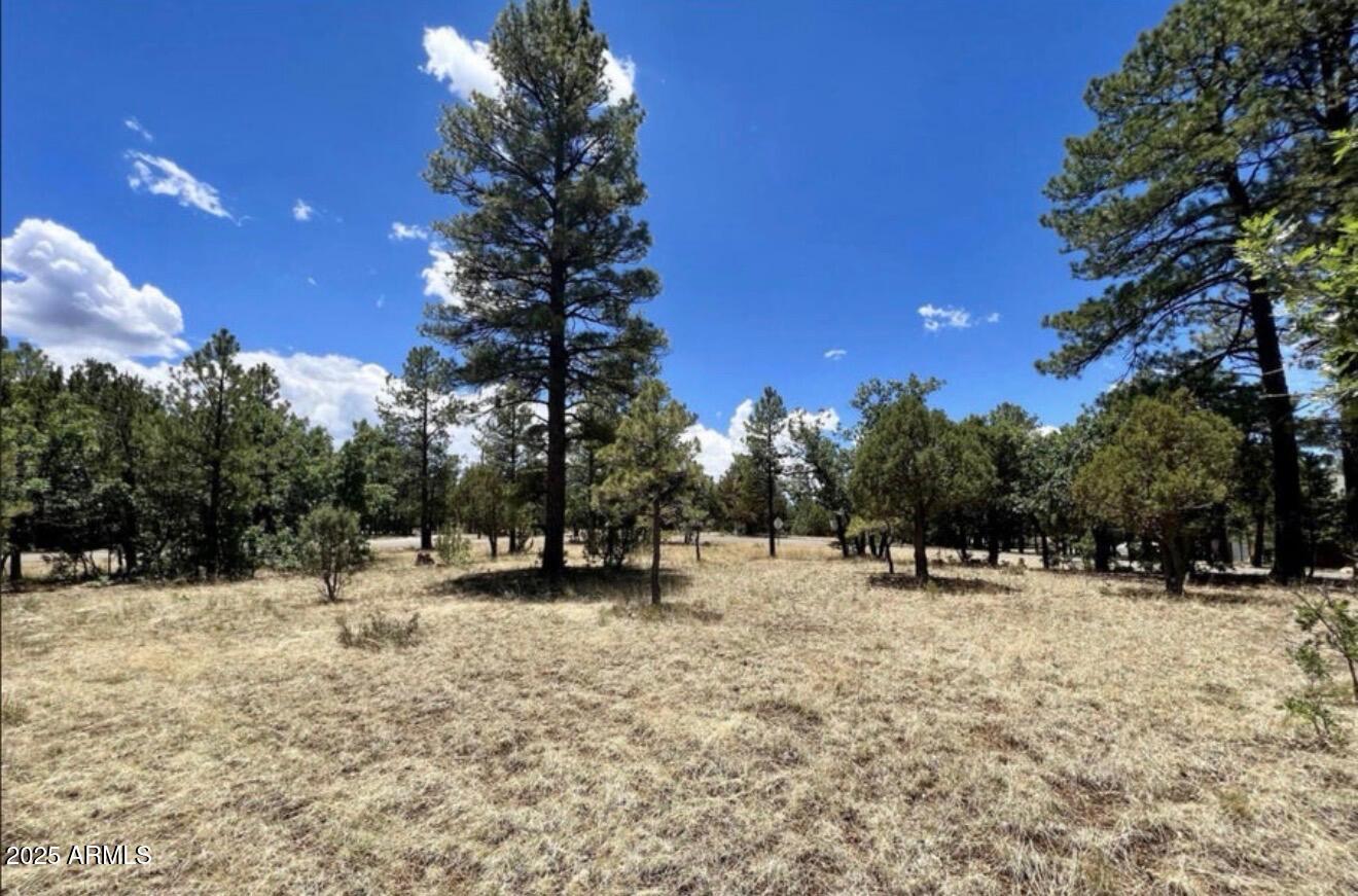 STARLIGHT PINES 4 PHASE 1 - Land