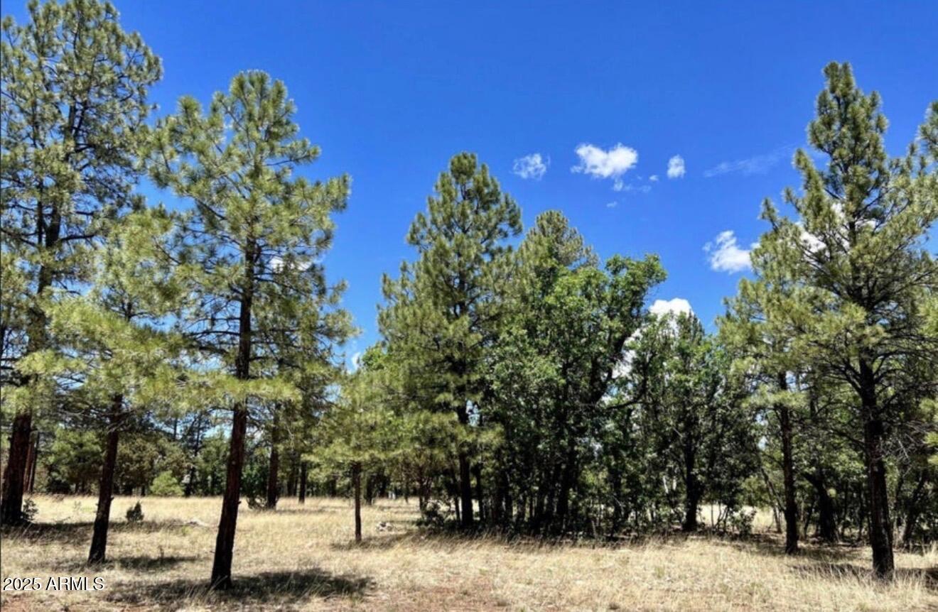 4453 NAVAJO Drive 358