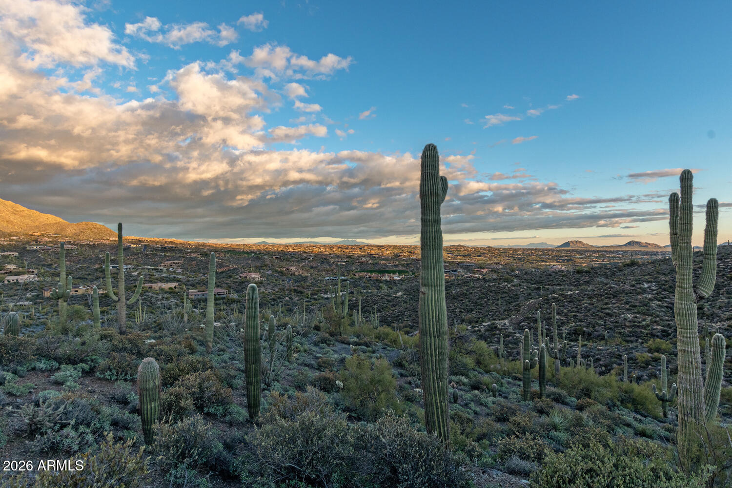 41965 N Charbray Drive 24