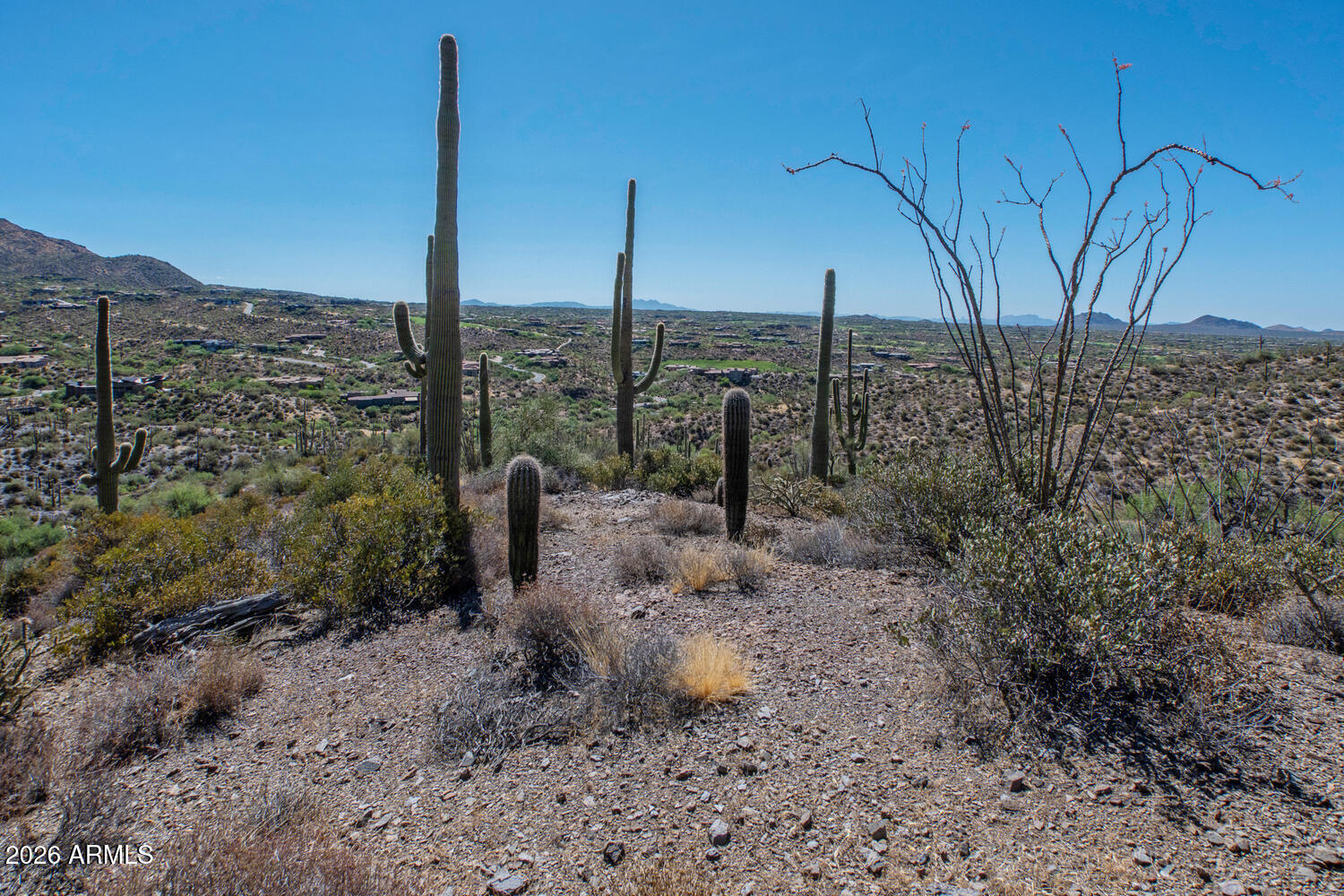 41965 N Charbray Drive 24