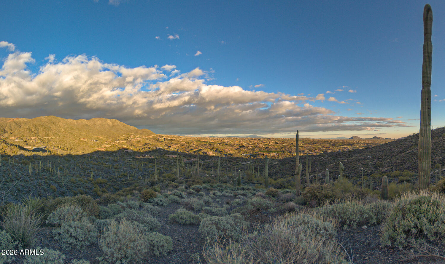 41965 N Charbray Drive 24