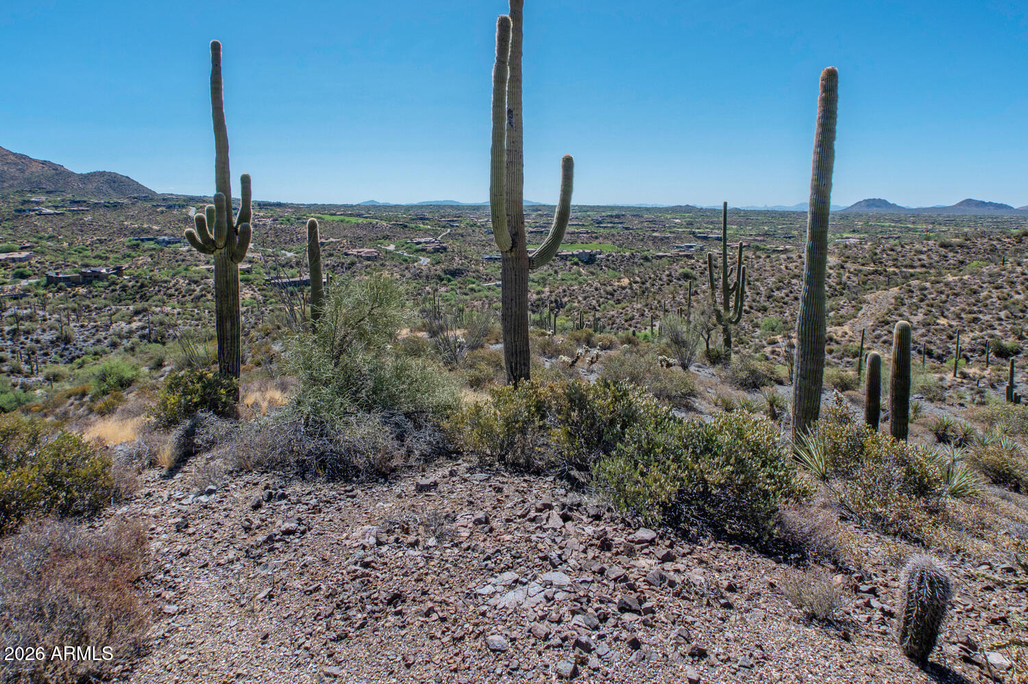 41965 N Charbray Drive 24