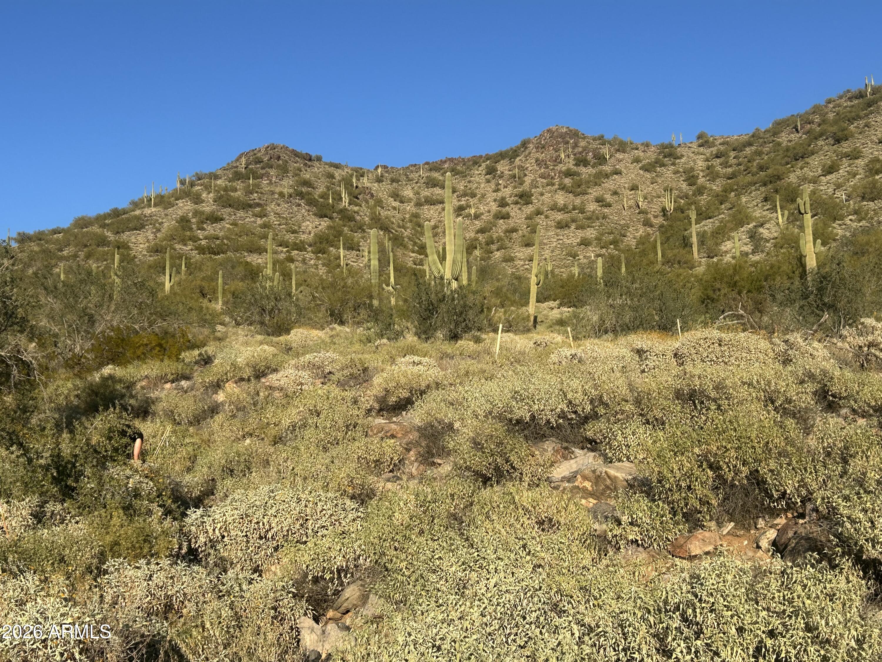 XX000 E Gods View Drive Parcel A