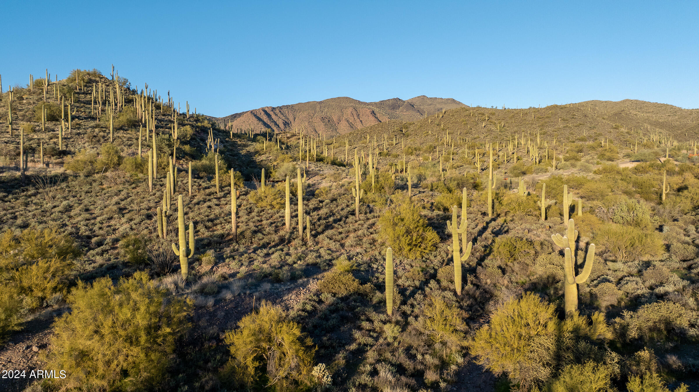 7347 E CONTINENTAL MTN ESTS Drive 9