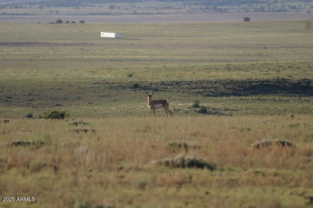 Lot 55 Concho Lakeland -- 55