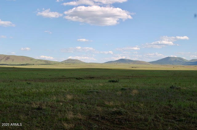 Lot 55 Concho Lakeland -- 55