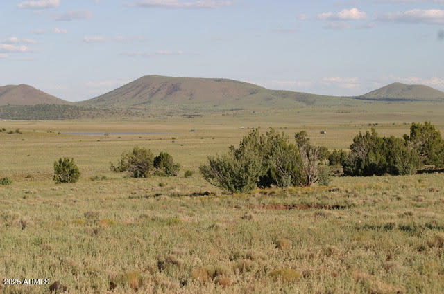 Lot 55 Concho Lakeland -- 55