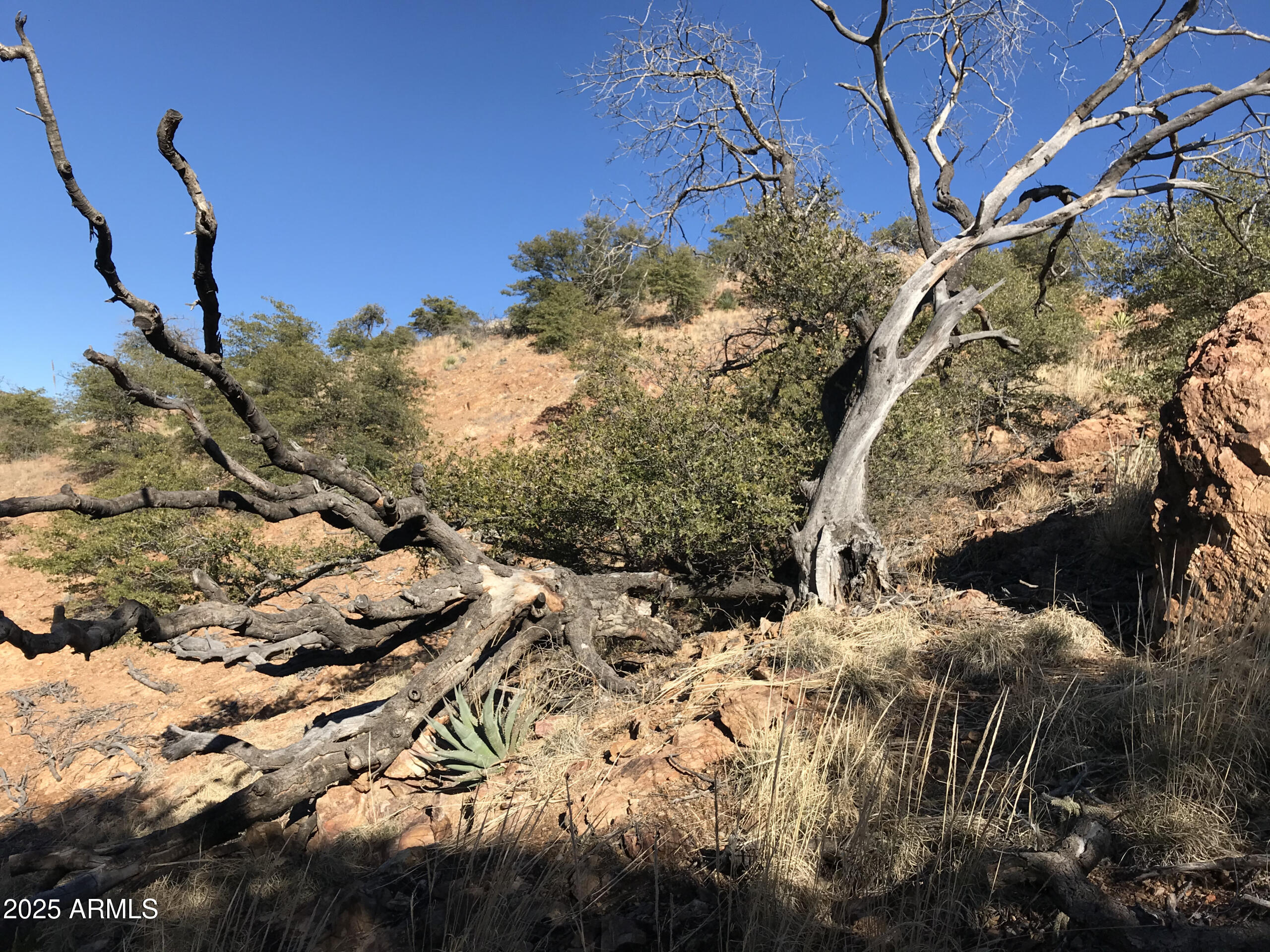 BISBEE - Land