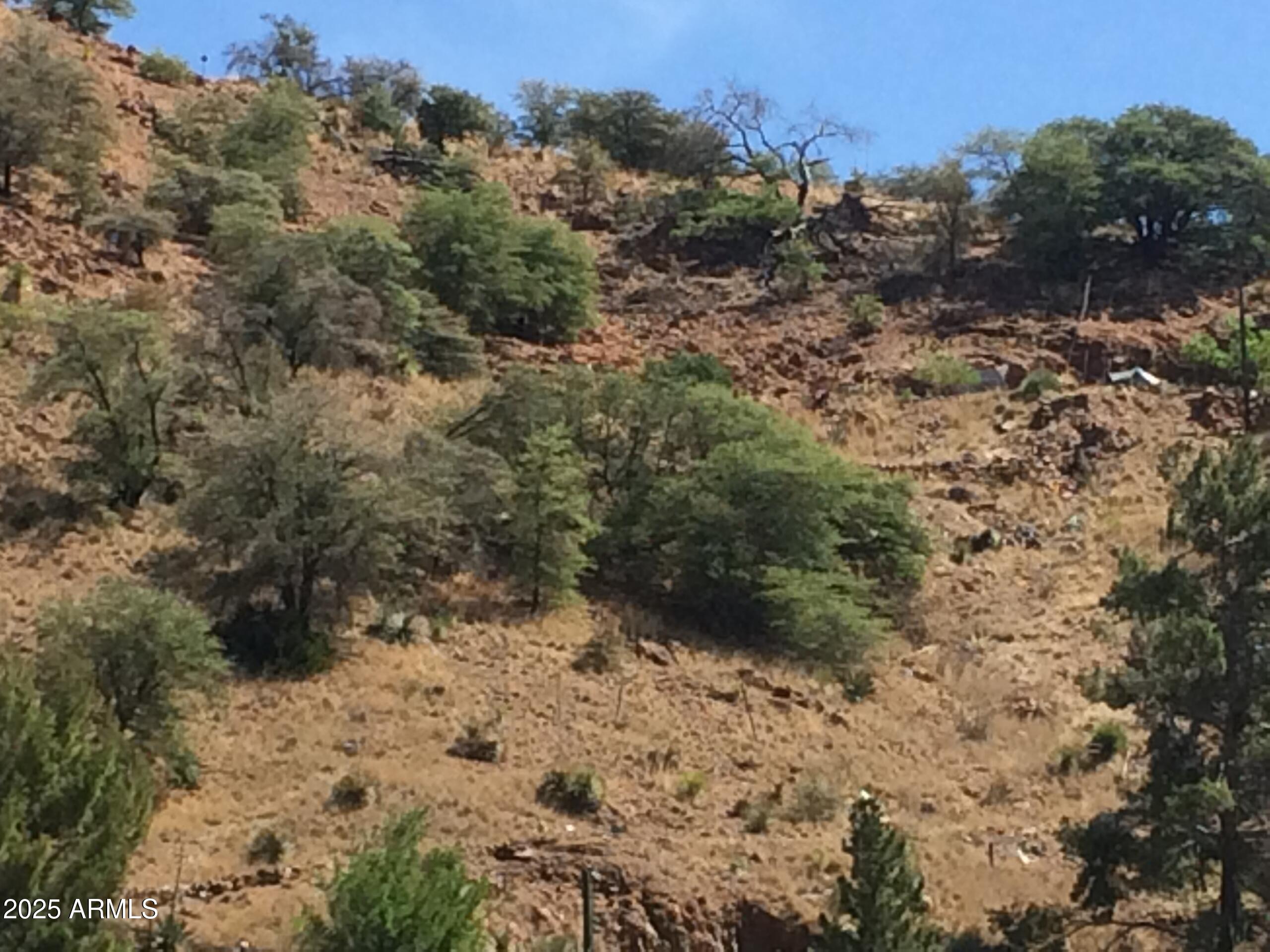 BISBEE - Land