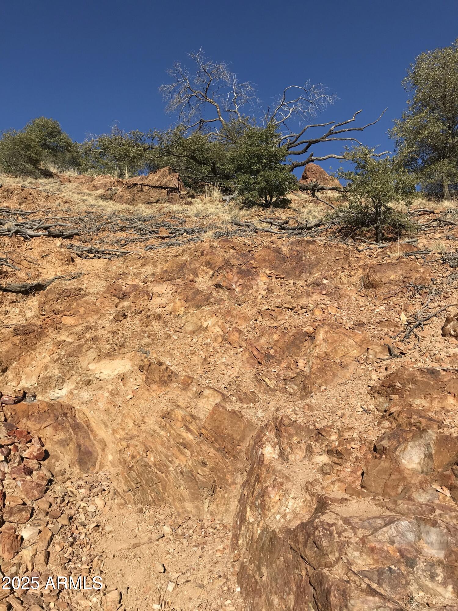 BISBEE - Land