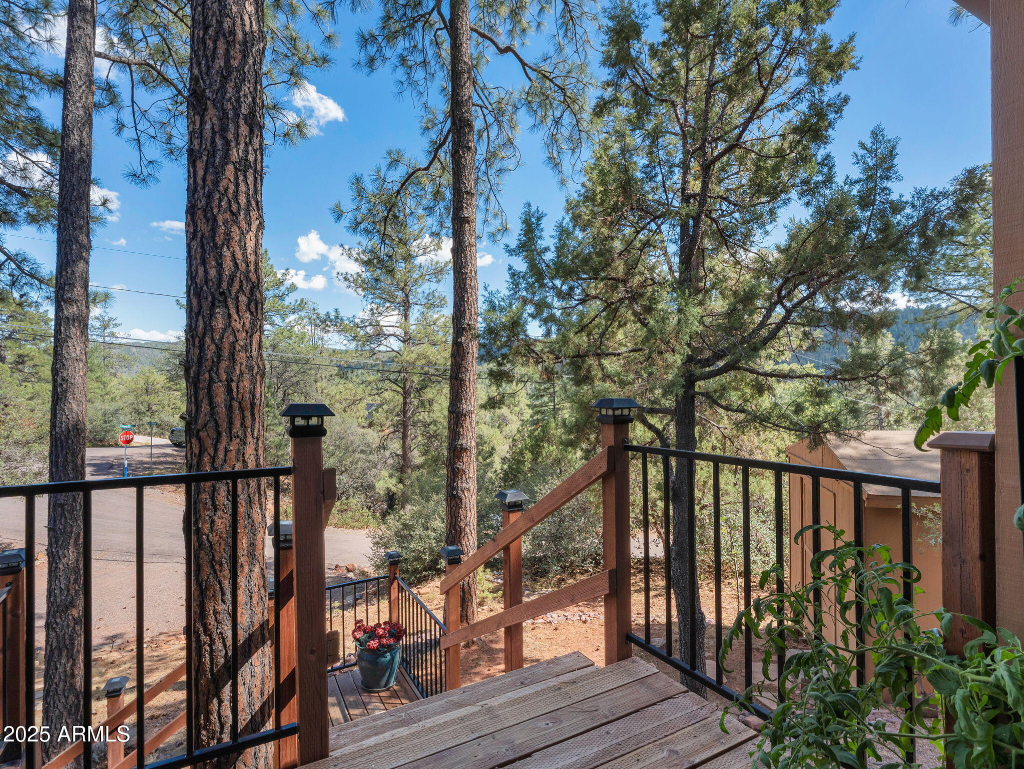 9400 W WILD TURKEY Lane