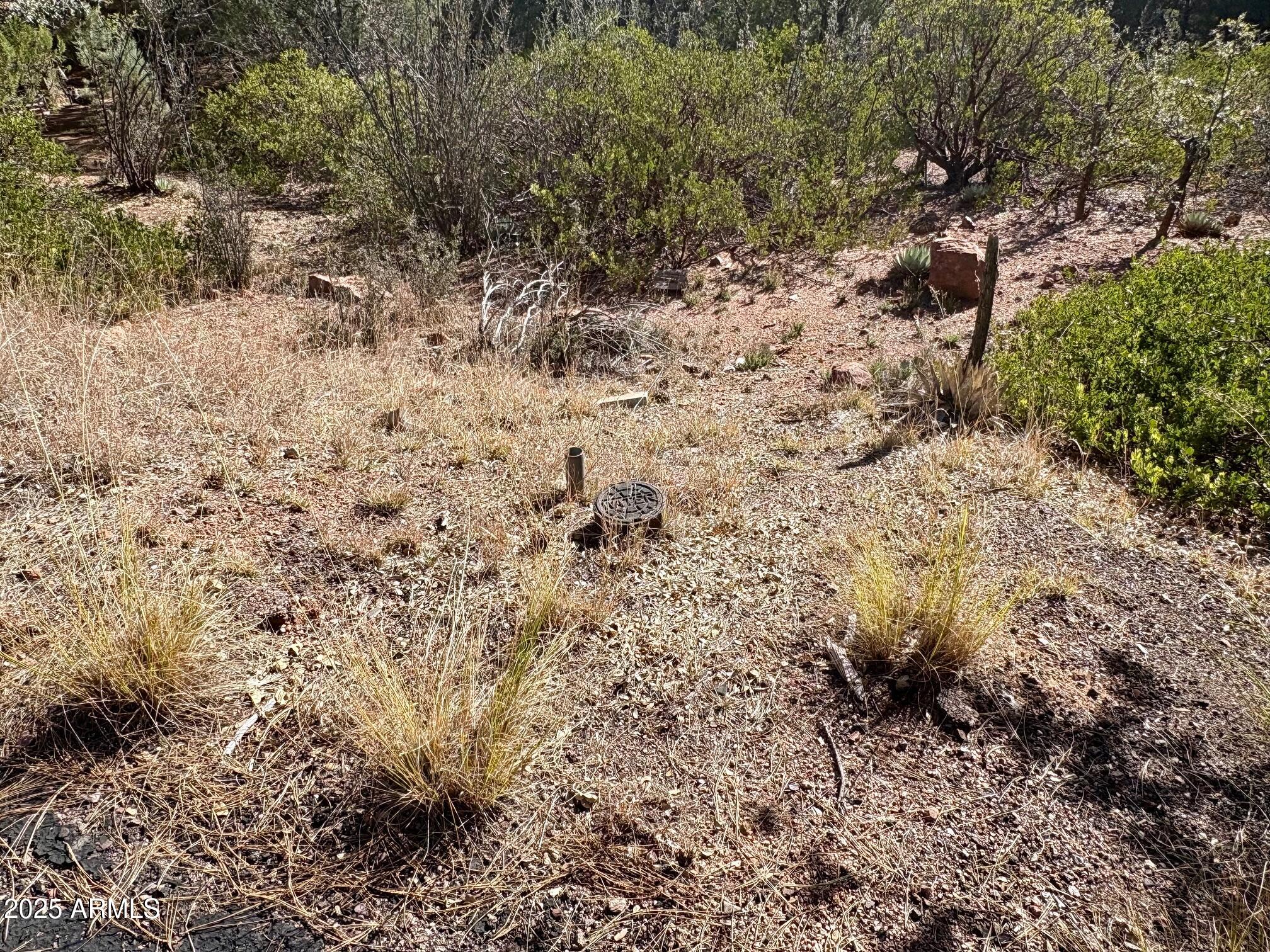 19 N ELK RUB Lane 19