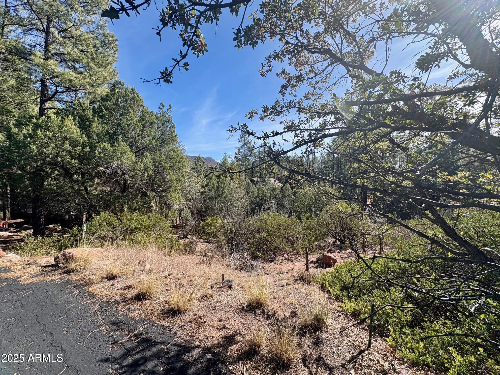 19 N ELK RUB Lane 19