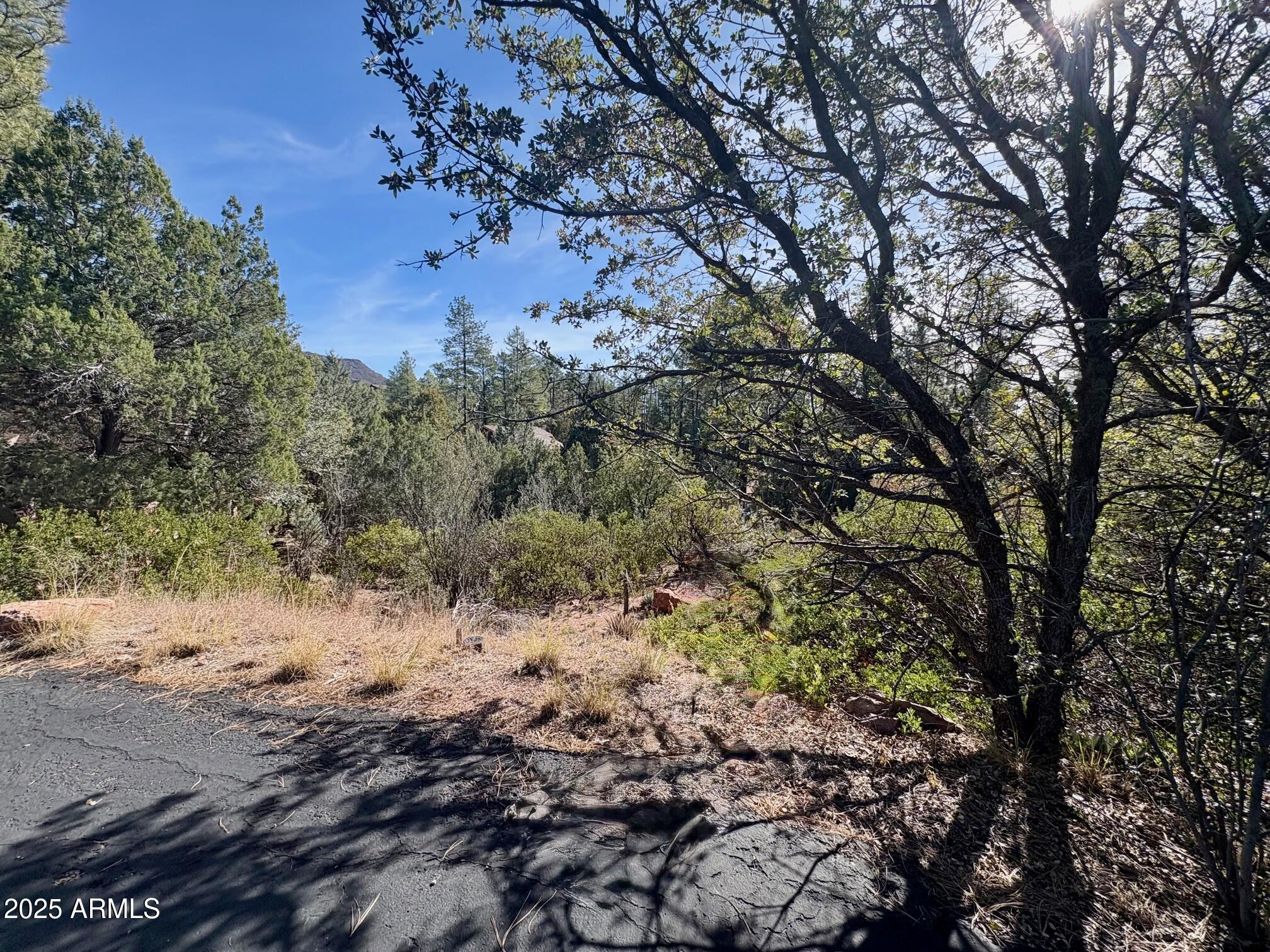 19 N ELK RUB Lane 19