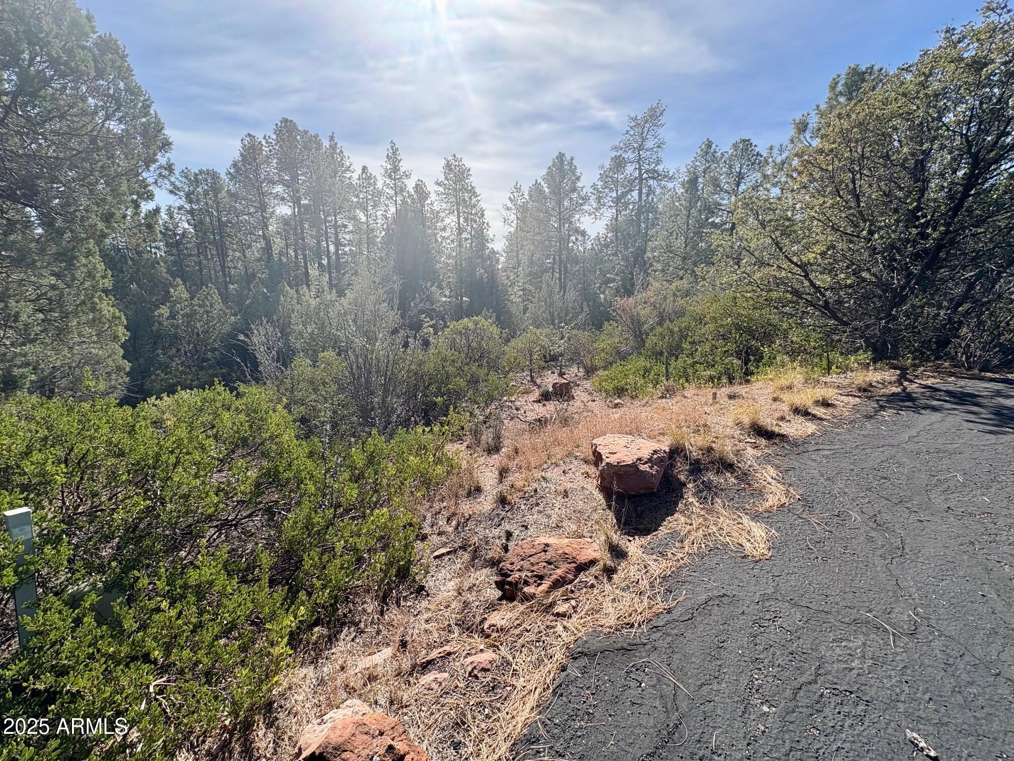 19 N ELK RUB Lane 19