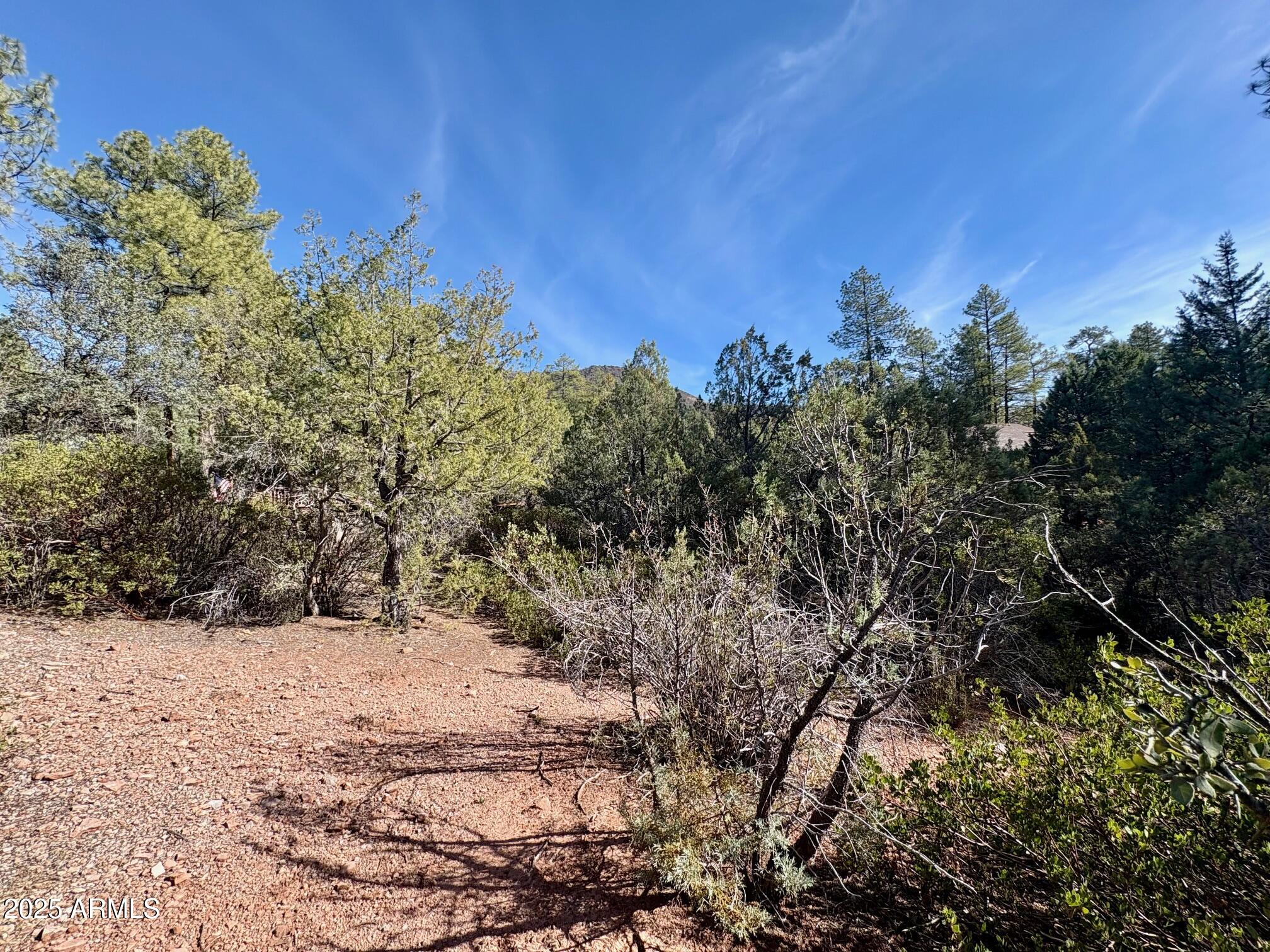 19 N ELK RUB Lane 19