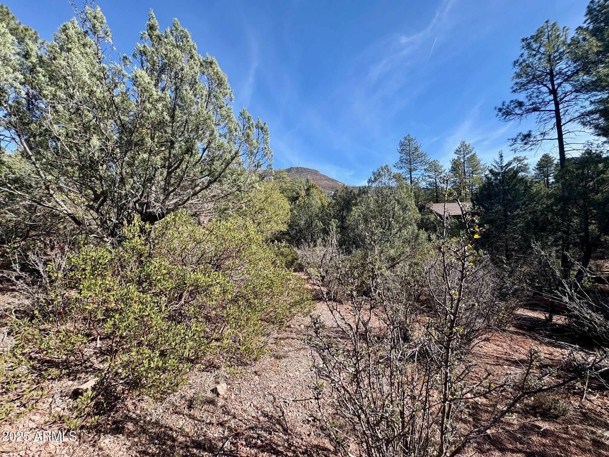 19 N ELK RUB Lane 19