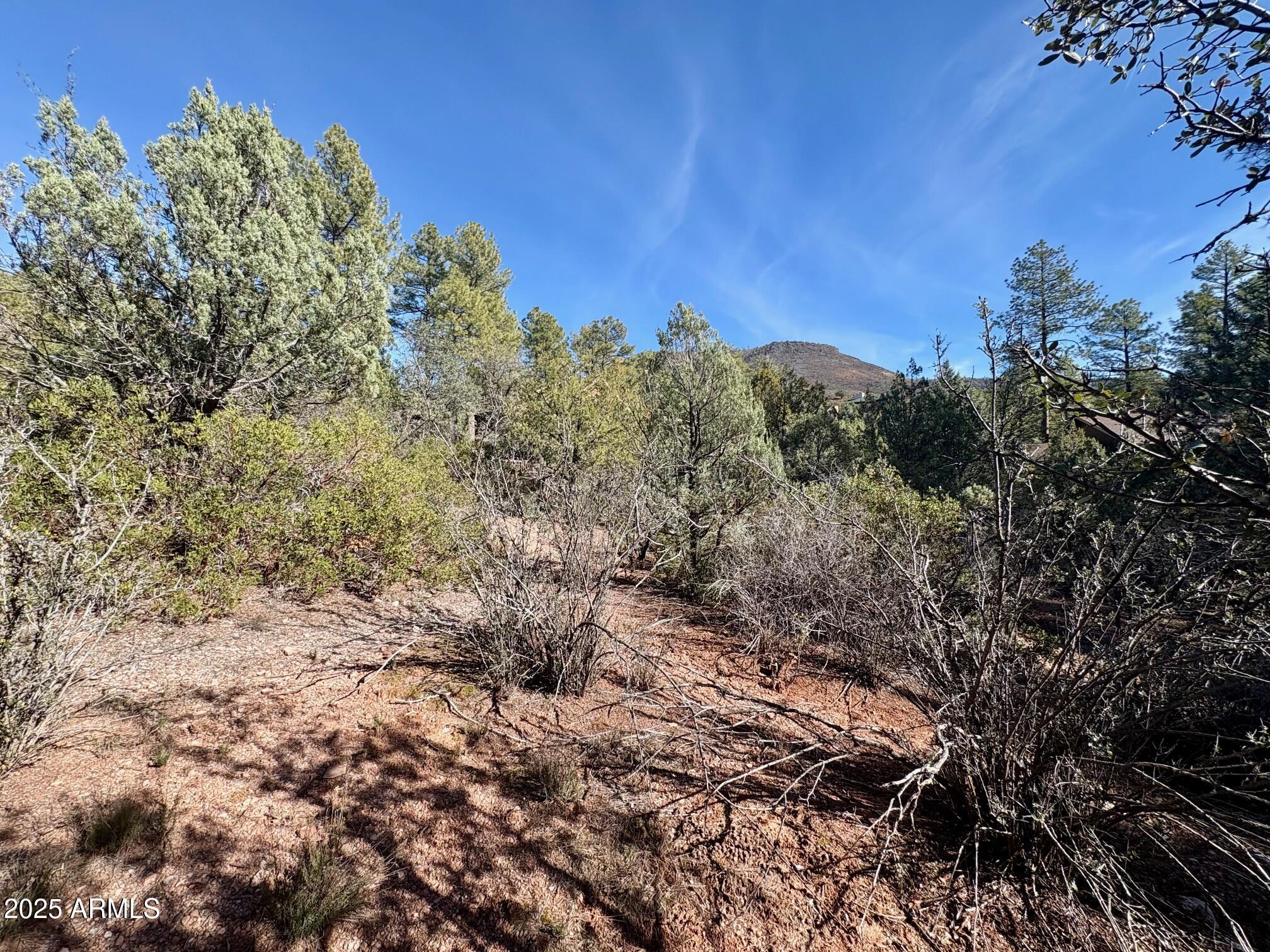 19 N ELK RUB Lane 19