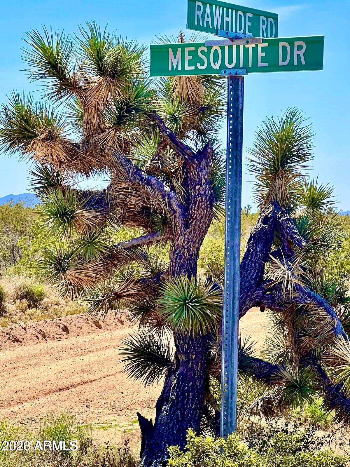 O E Mesquite Drive 2078