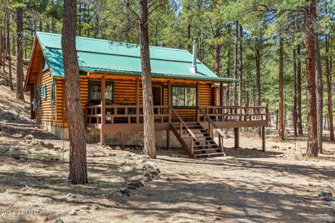 9 COUNTY ROAD N1029 -- Greer AZ 85927