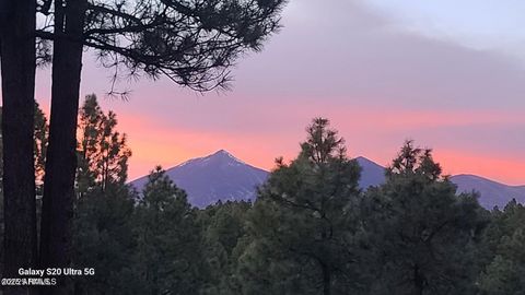 1380 W Shullenbarger Drive Flagstaff AZ 86005