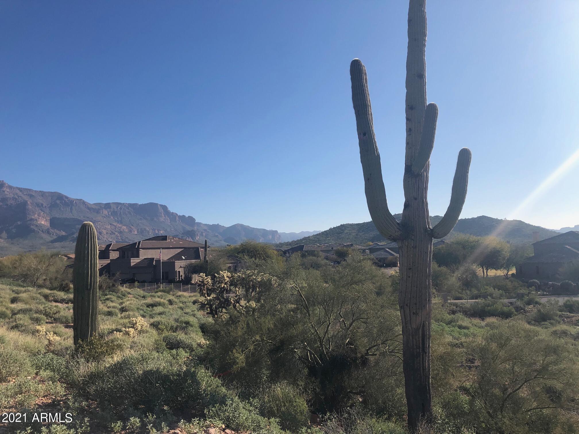 5395 S GOLD CANYON Drive 15