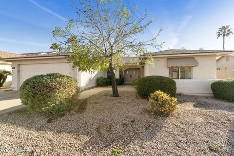 26609 S TRURO Drive Sun Lakes AZ 85248