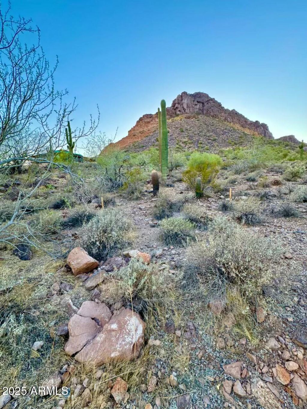 Photo of 0000 N Bear Paw Pass #-, Queen Creek, AZ 85142 (MLS # 6825834)