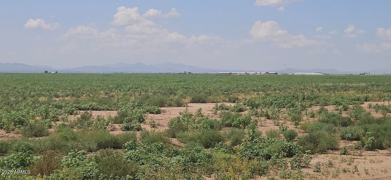 20 Acres S ROBISON Road 5
