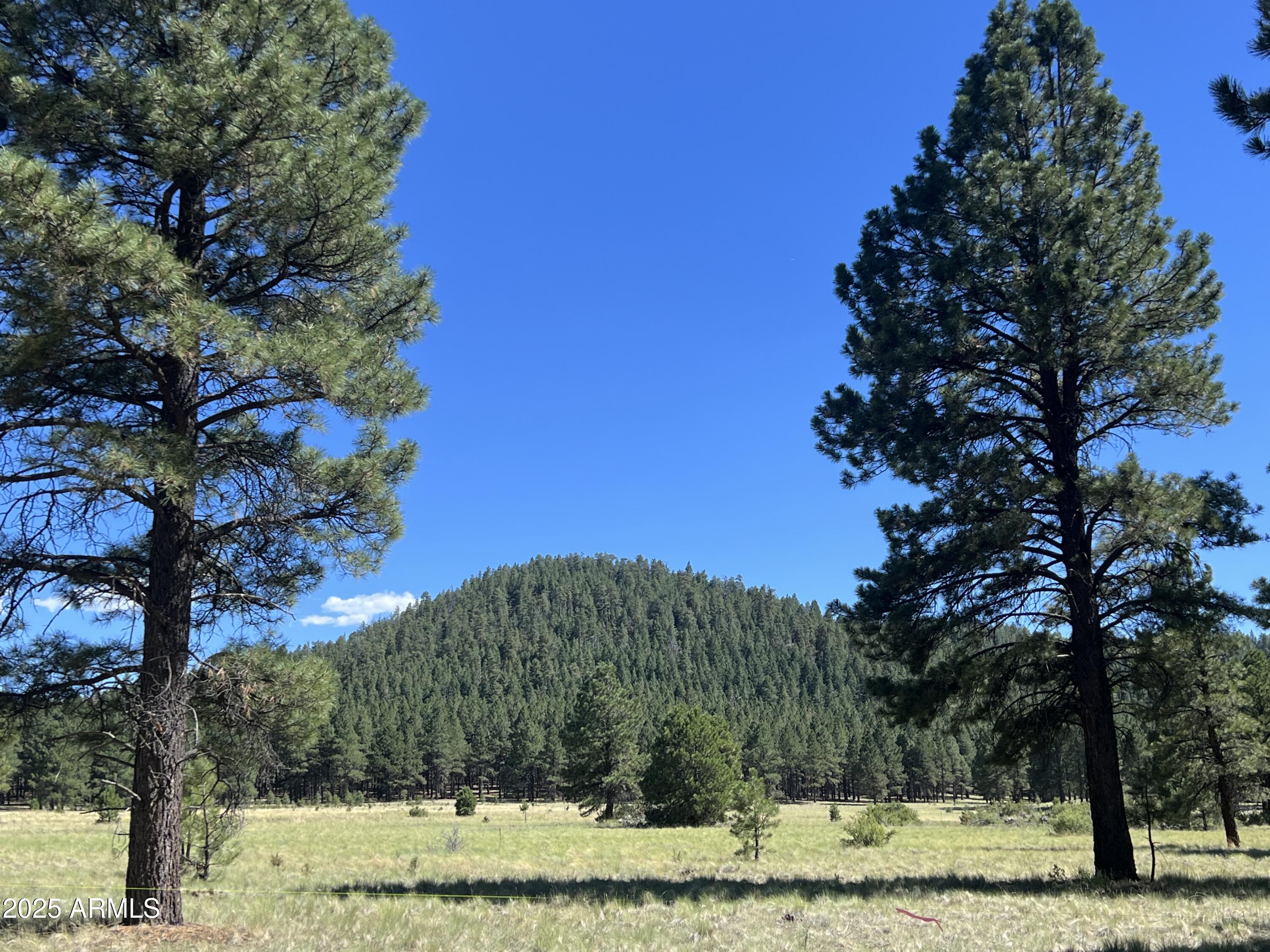 0 Forest Road 193 -- 0