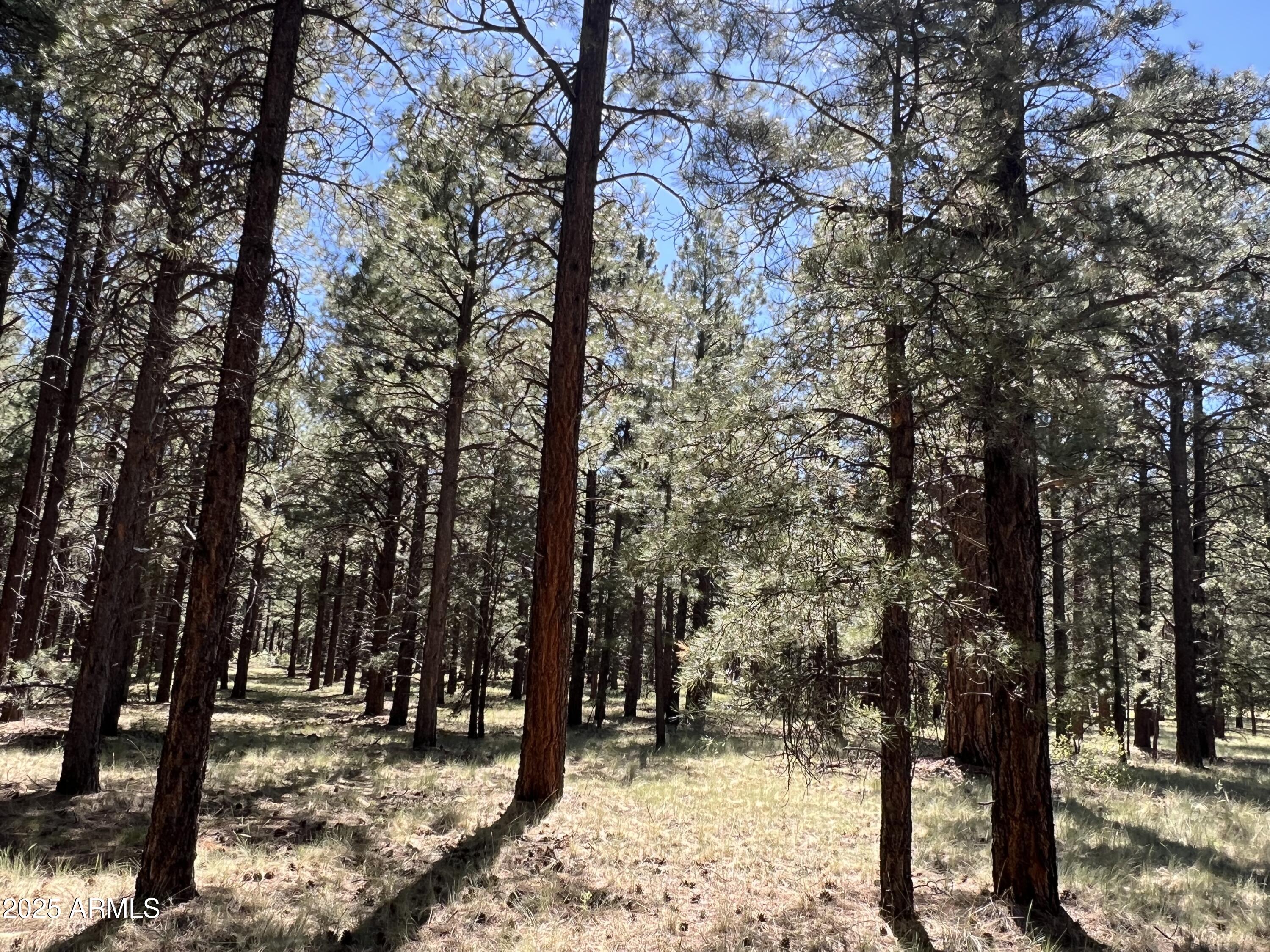 20 Acre off grid view property - Land