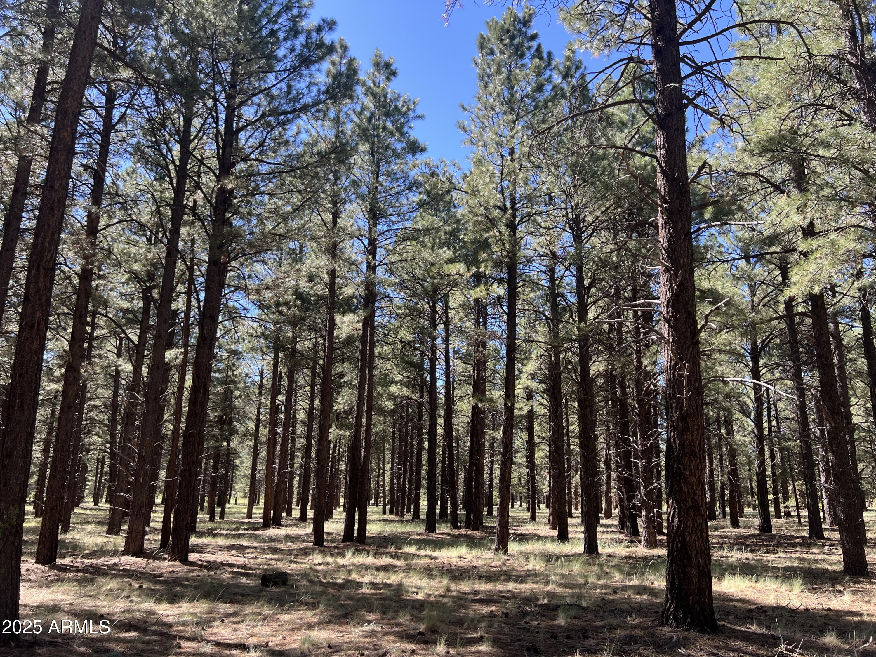 20 Acre off grid view property - Land