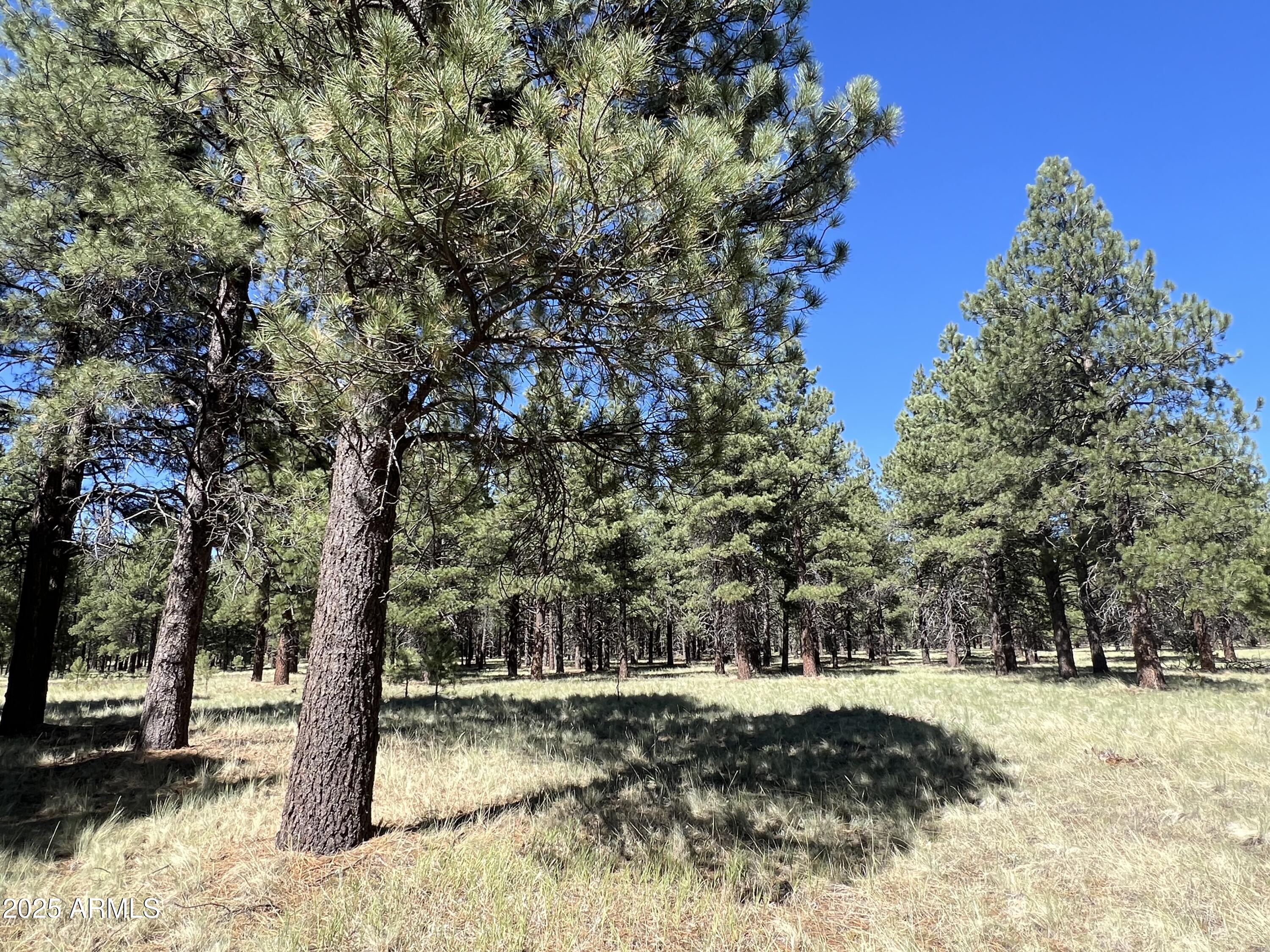 20 Acre off grid view property - Land