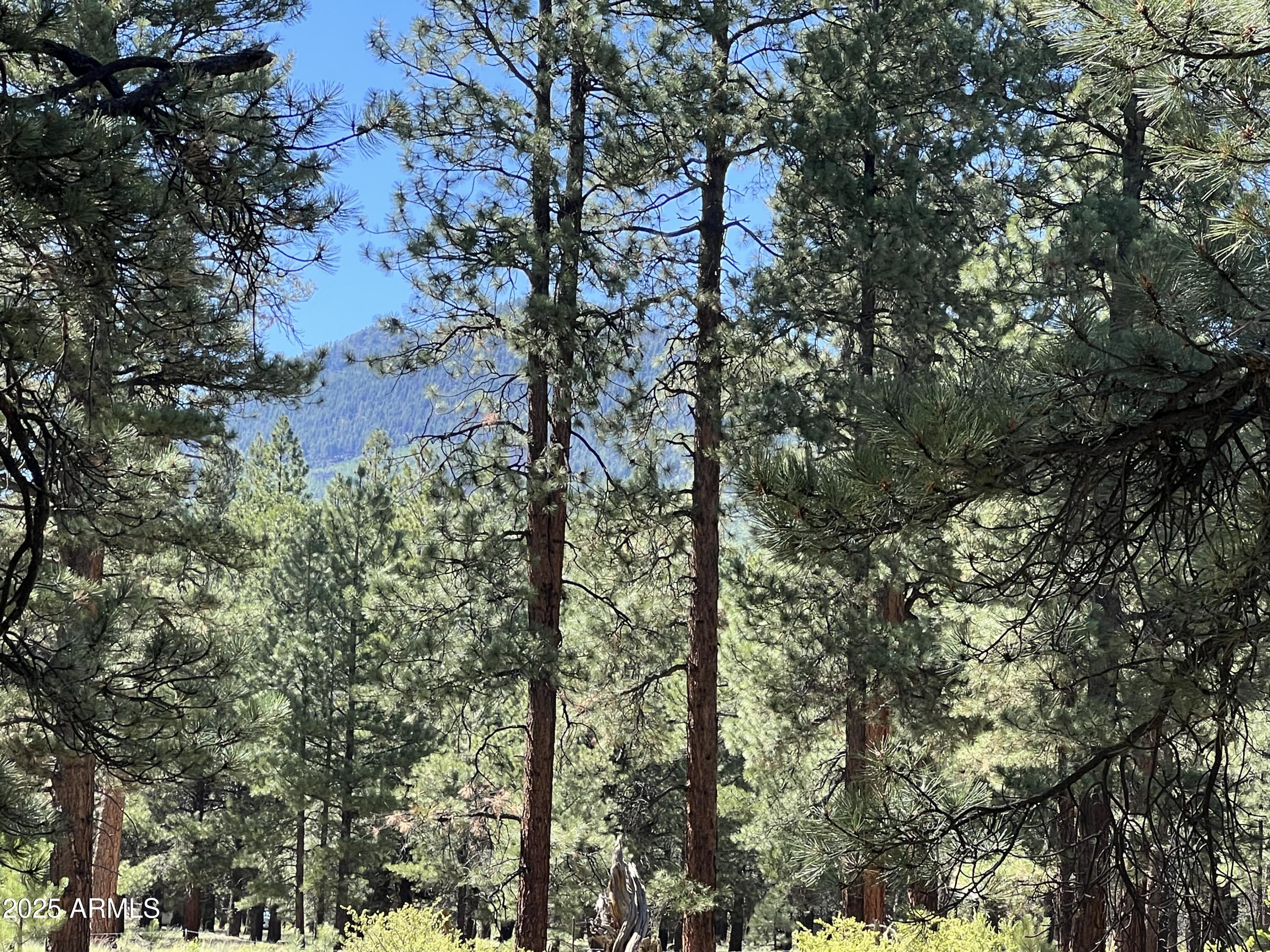 20 Acre off grid view property - Land