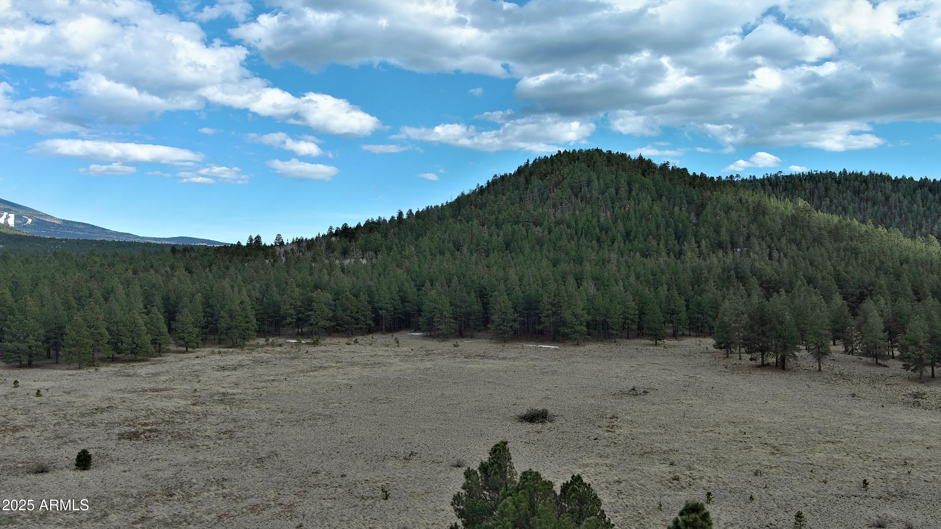 0 Forest Road 193 -- 0