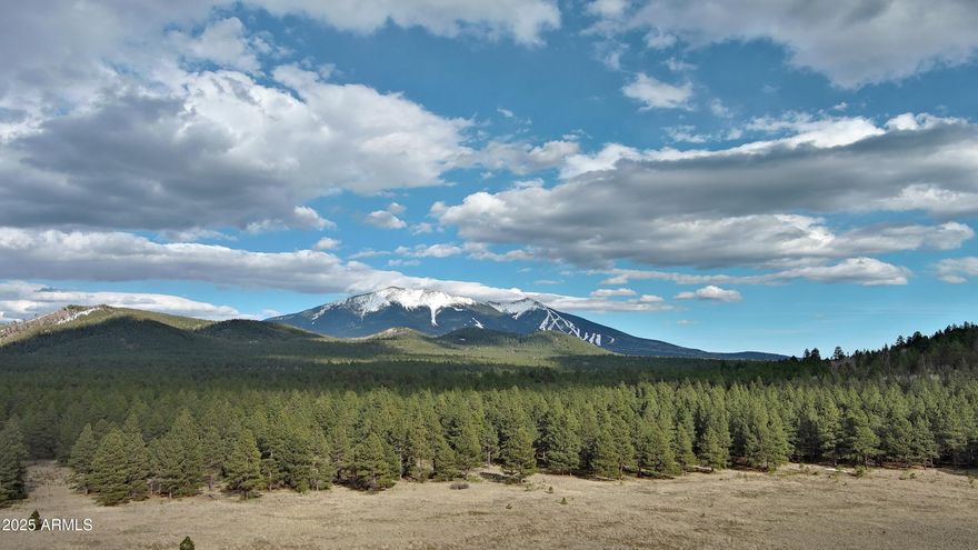 Pristine 20-acre rectangular wooded property with breathtaking views of Humphreys Peak, Kendrick Peak, and Deer Hill. Seller will carry! Bordered on the north and west by National Forest land, offering unmatched seclusion and direct trail access. Close to Highway 180 for convenient, year-round access. Its large rectangular shape provides excellent flexibility to position a home, barns, or other ranch-style improvements while maintaining privacy and maximizing mountain views. Enjoy the clean, cool air at 8,000 feet and endless outdoor adventure.