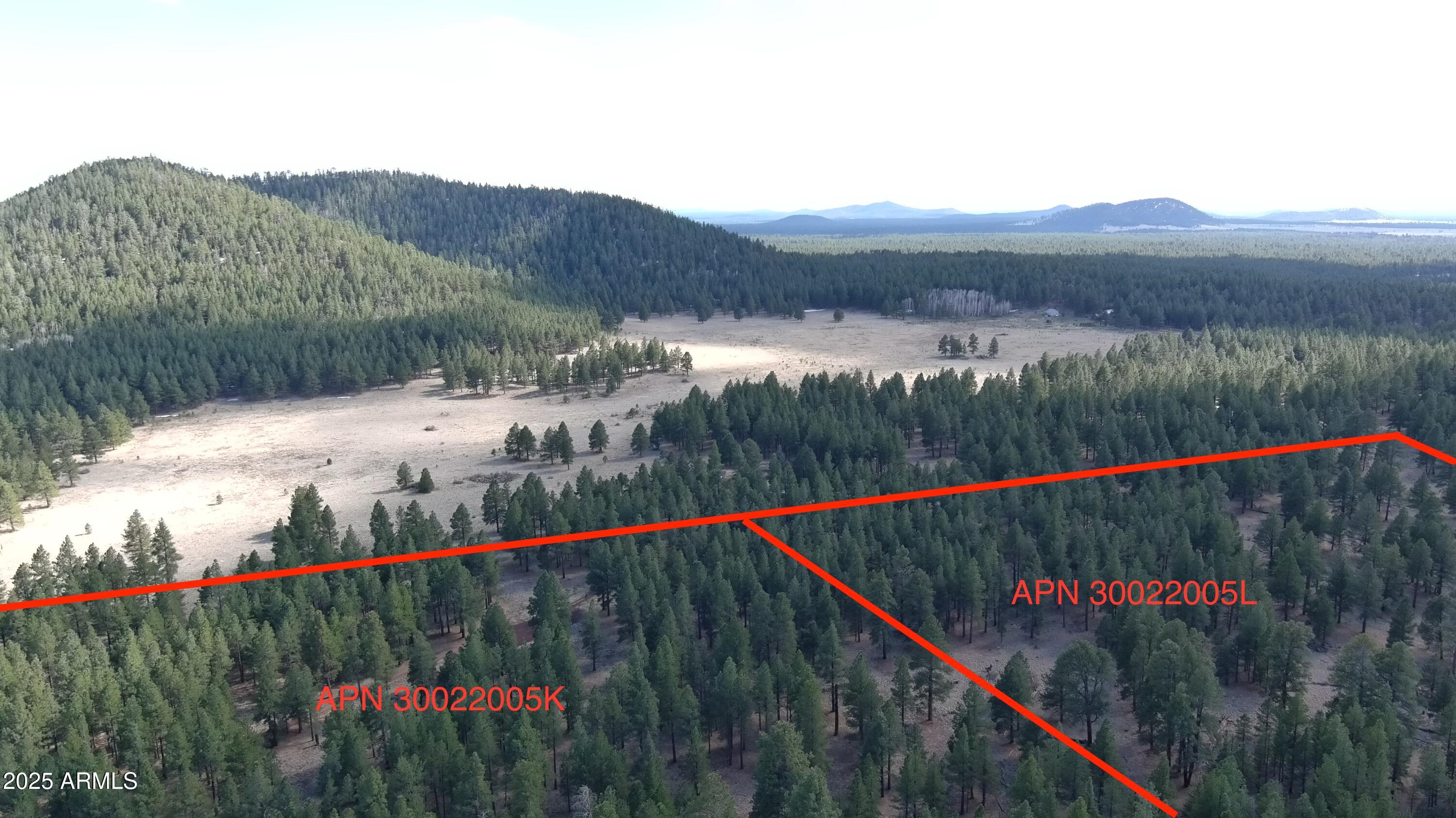 0 Forest Road 193 -- 0