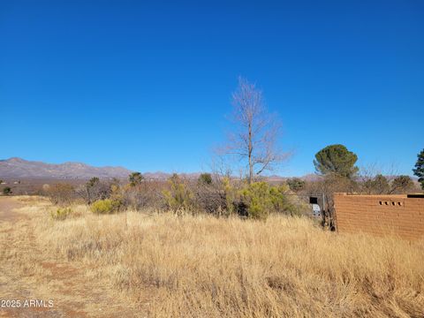 A home in Naco