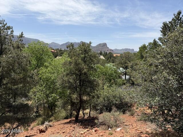 25 FOREST VIEW Trail 1