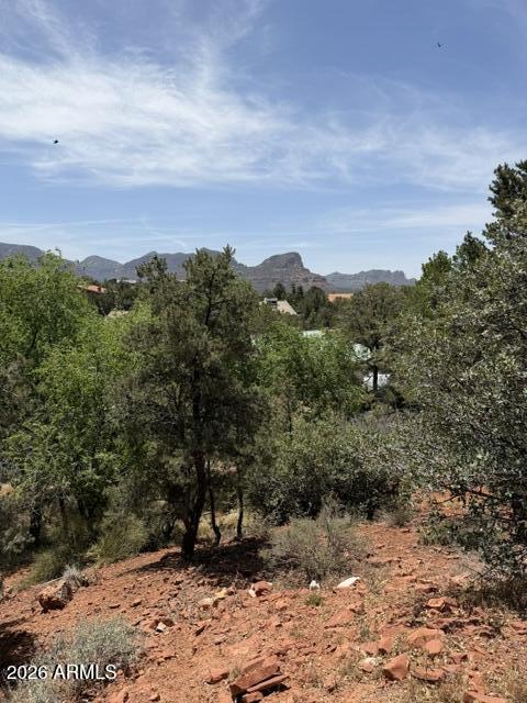 25 FOREST VIEW Trail 1