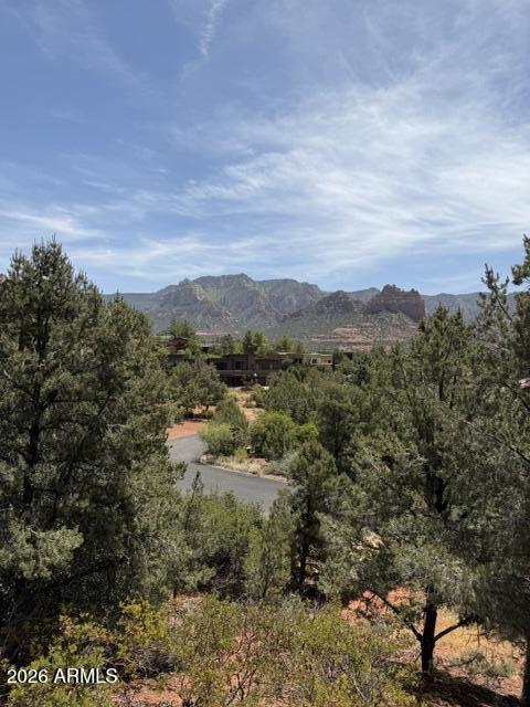 25 FOREST VIEW Trail 1