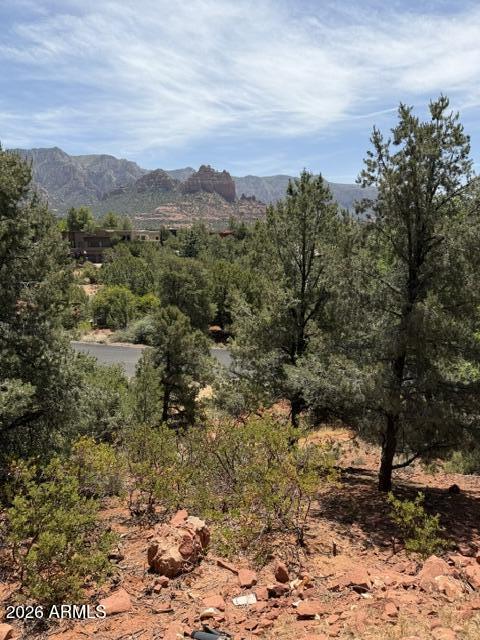 25 FOREST VIEW Trail 1