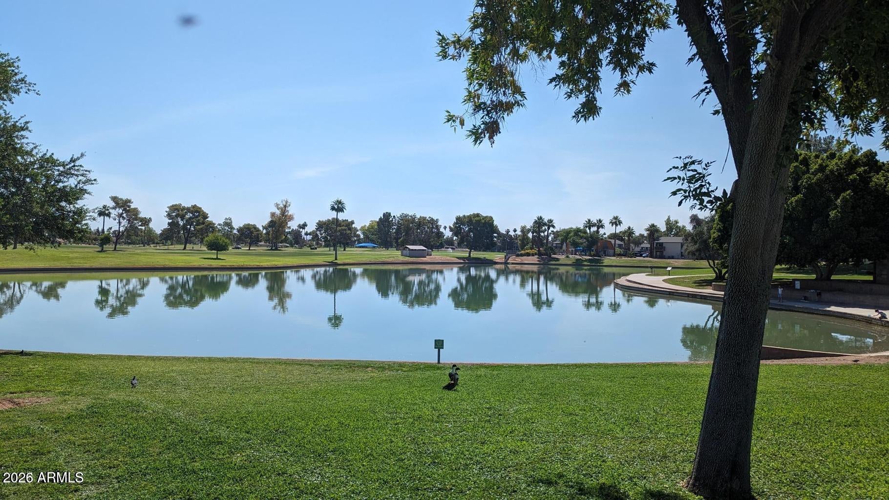 1331 W Baseline Road Unit 244