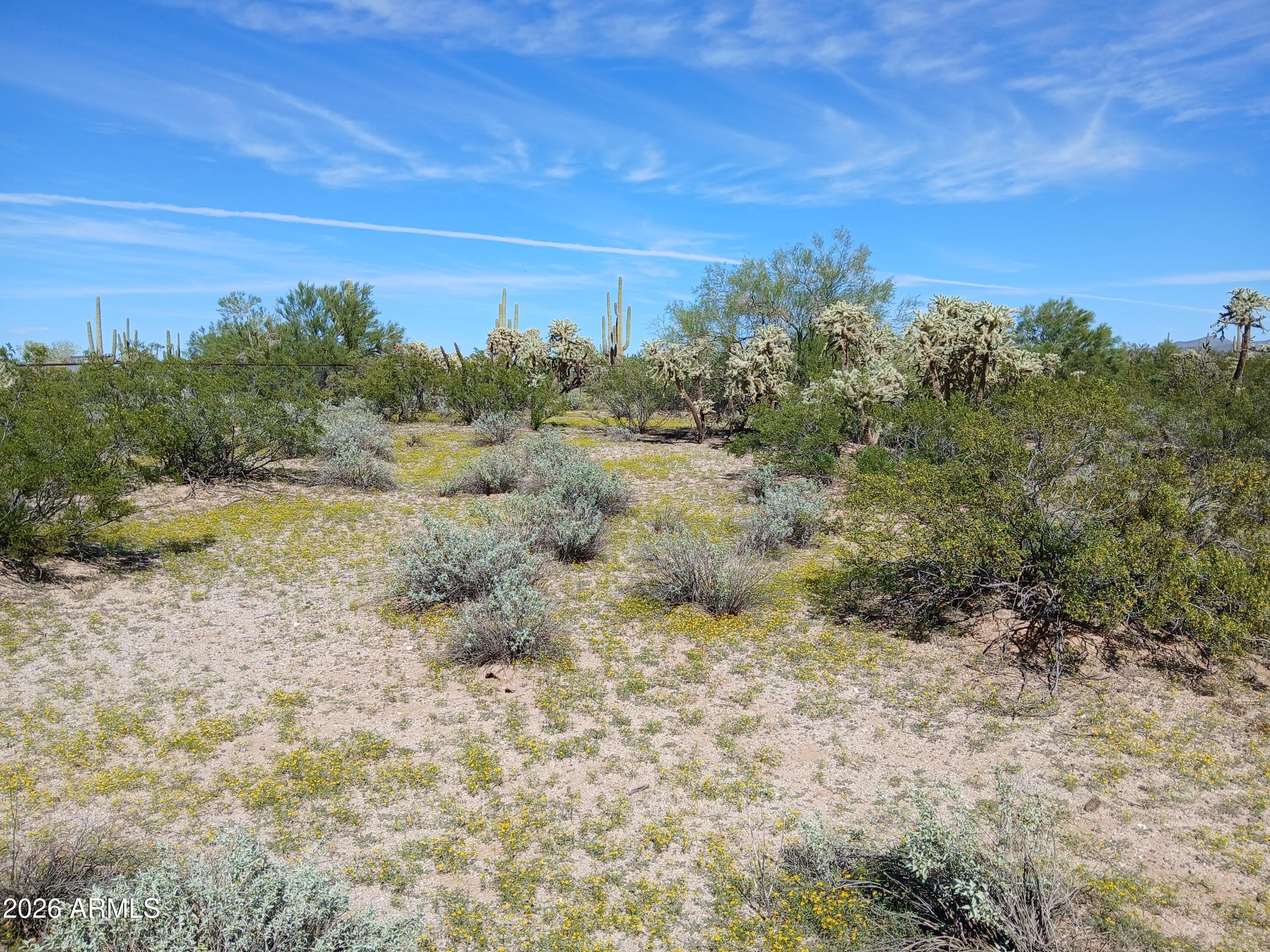 0 S Twin Hawk Lane -