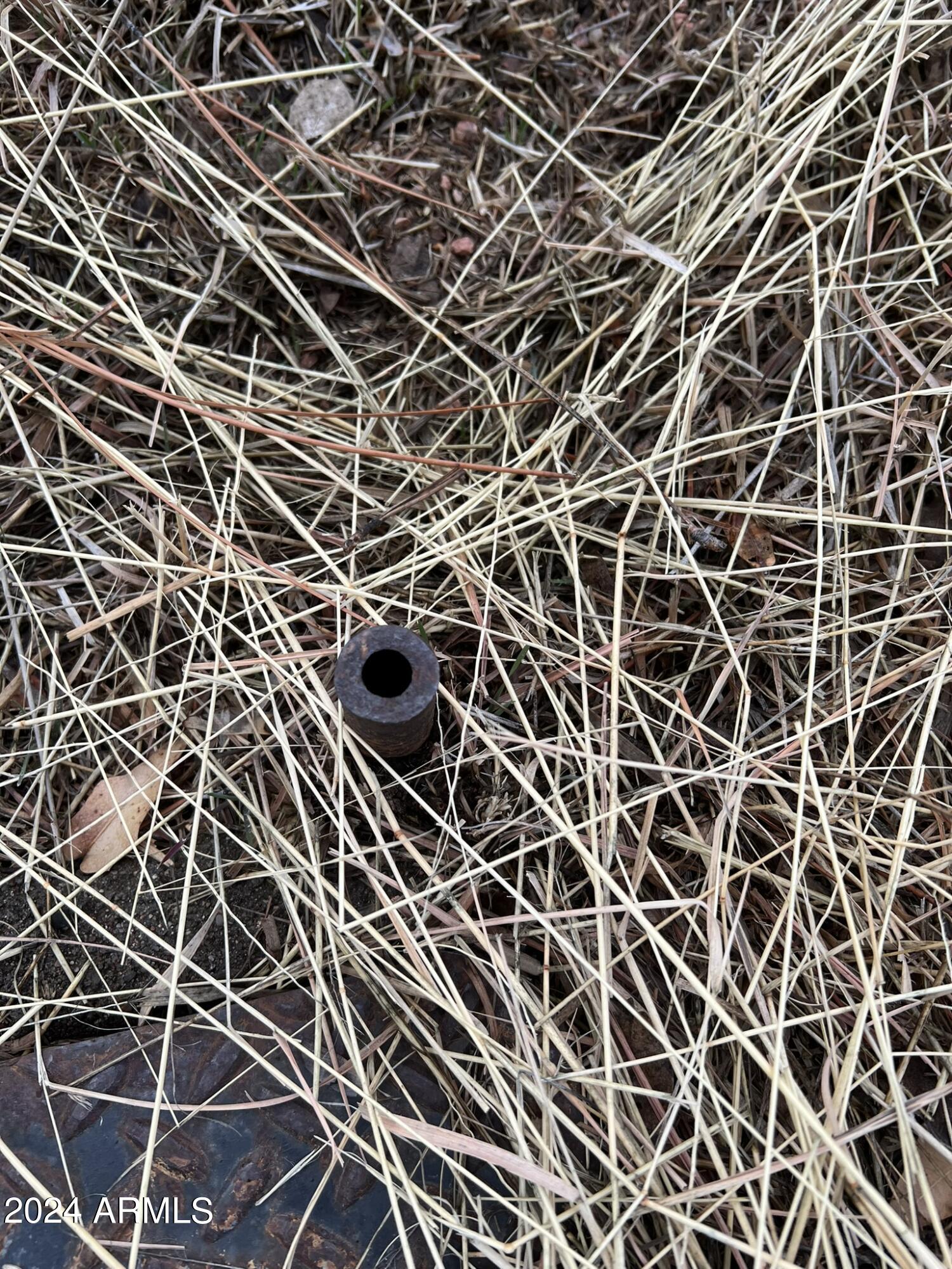 Payson, Arizona 85541, United States, ,Land,Active,60854