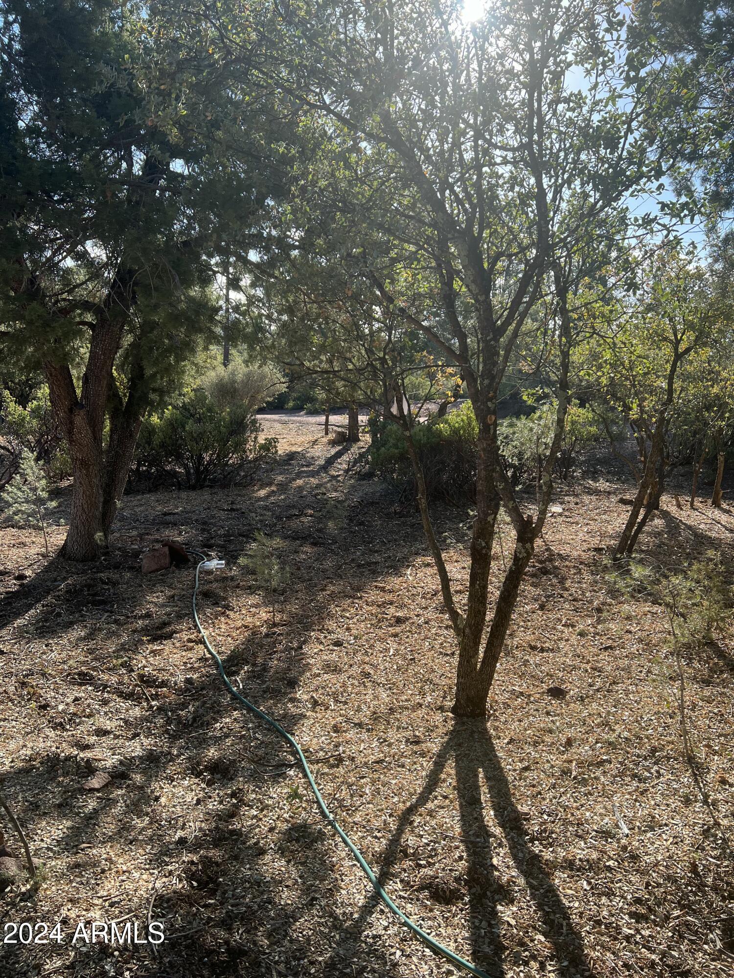 Payson, Arizona 85541, United States, ,Land,Active,60854