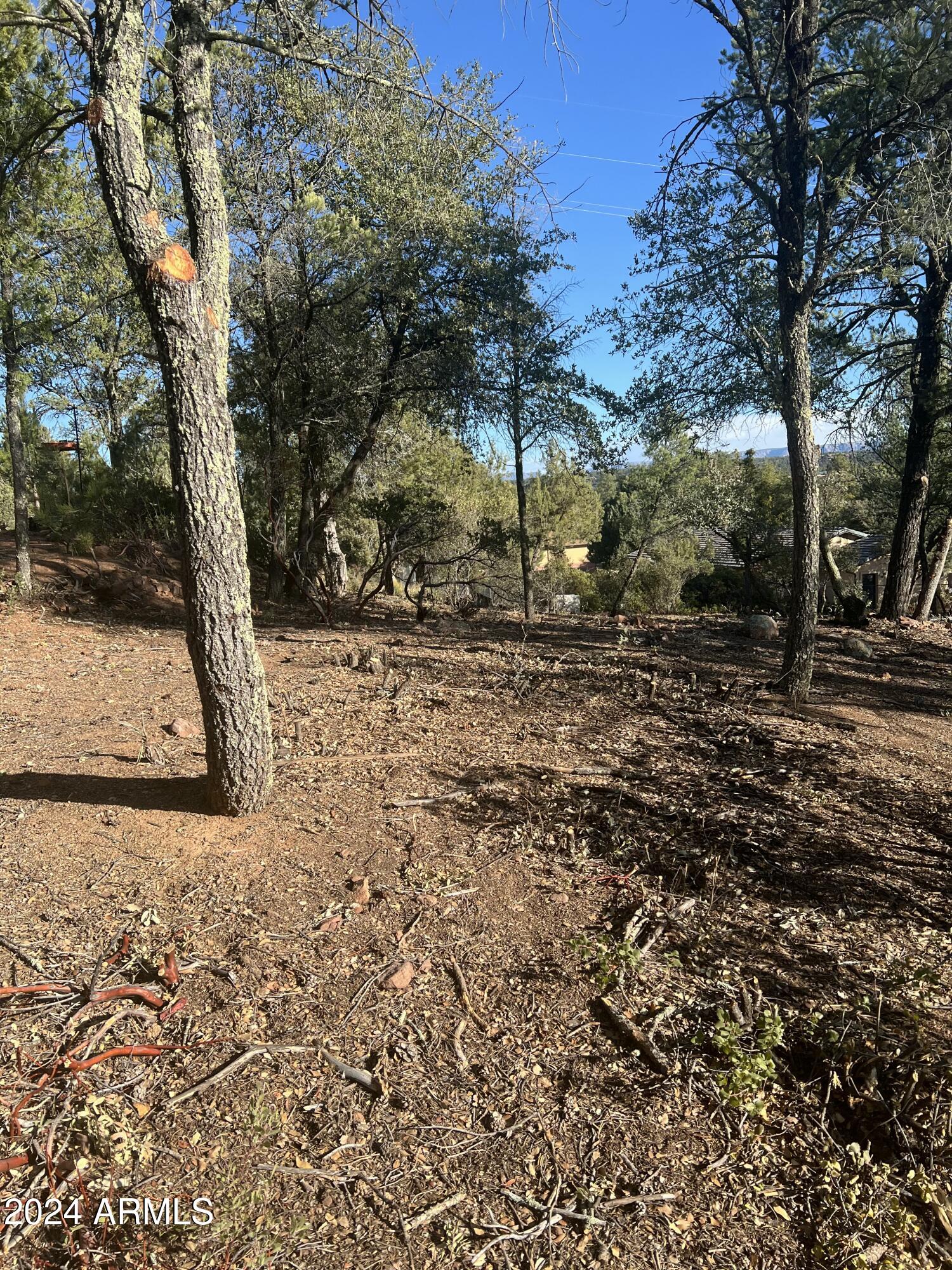 Payson, Arizona 85541, United States, ,Land,Active,60854